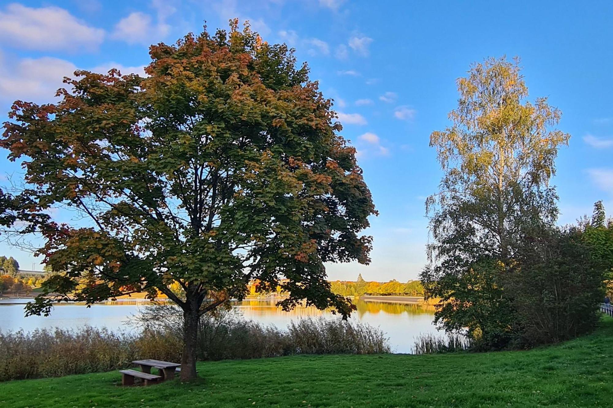 Draussen Am See Losheim am See Zewnętrze zdjęcie