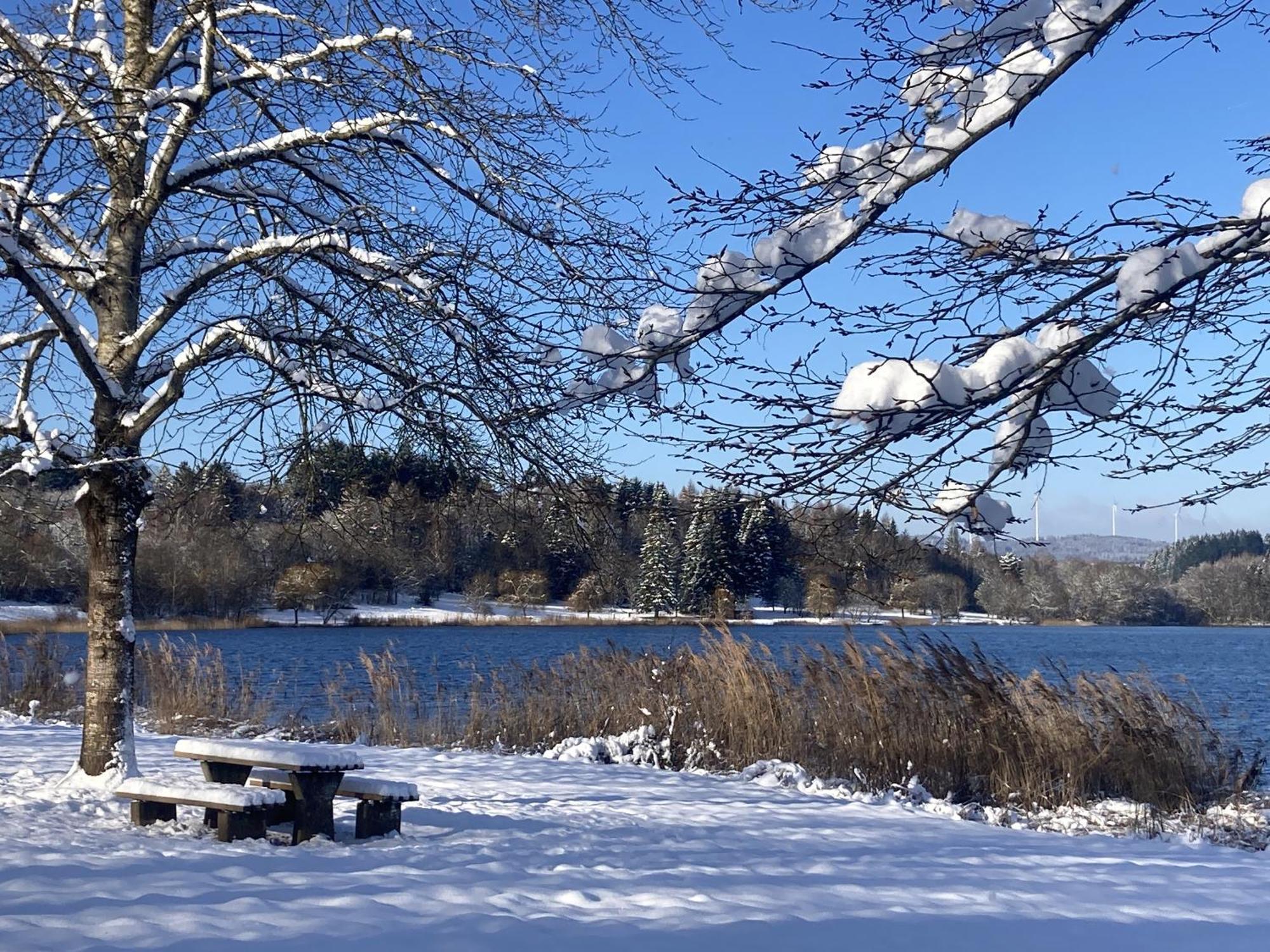 Draussen Am See Losheim am See Zewnętrze zdjęcie